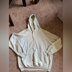 Big Bud Press sage green hoodie